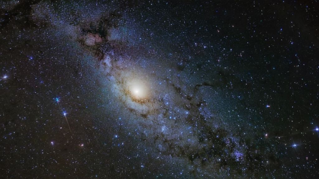新流星花园男星健身狂热引发家庭决策内幕曝光