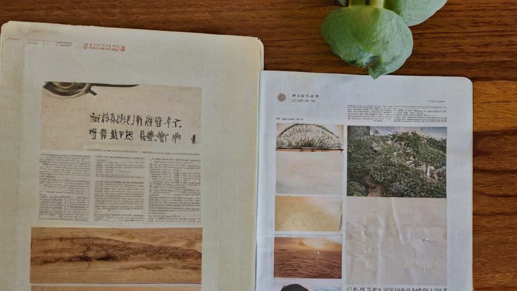 娱乐圈内部出现异动许多明星疑似虚假炒作引发关注争议
